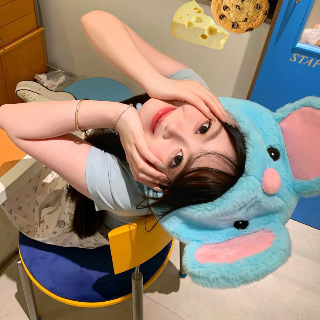 绵羊侦探团